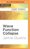 Wave Function Collapse