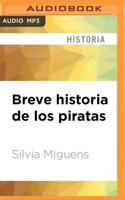 Breve Historia De Los Piratas