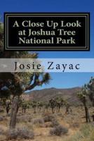 A Close Up Look at Joshua Tree National Park