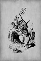 Alice in Wonderland Journal - White Rabbit (Grey)