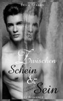 Zwischen Schein Und Sein (Gay Romance)