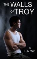 The Walls of Troy