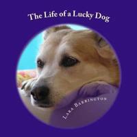 The Life of a Lucky Dog