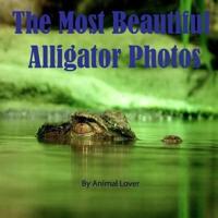 The Most Beautiful Alligator Photos