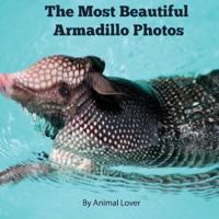 The Most Beautiful Armadillo Photos