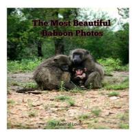 The Most Beautiful Baboon Photos