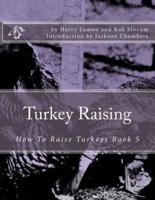 Turkey Raising