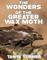 The Greater Wax Moth