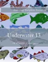 Underwater 13