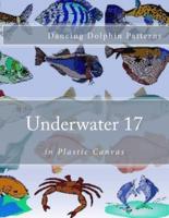 Underwater 17