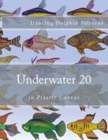 Underwater 20