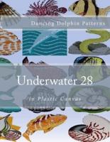 Underwater 28