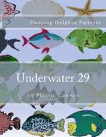 Underwater 29