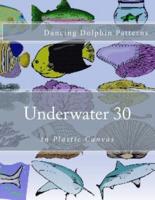 Underwater 30
