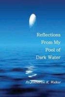 Reflections from My Pool of Dark Water
