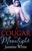 A Cougar by Moonlight