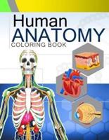 Human Anatomy Coloring Book