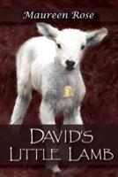David's Little Lamb