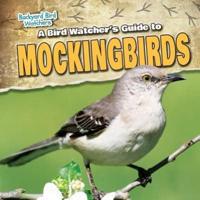 A Bird Watcher's Guide to Mockingbirds