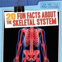20 Fun Facts About the Skeletal System