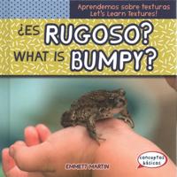 ¿Es Rugoso? / What Is Bumpy?