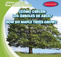 ¿Cómo Crecen Los Árboles De Arce? / How Do Maple Trees Grow?