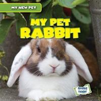 My Pet Rabbit