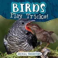 Birds Play Tricks!