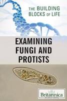 Examining Fungi and Protists