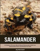 Salamander