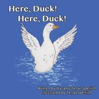 Here, Duck! Here, Duck