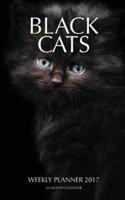Black Cats Weekly Planner 2017