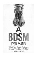 A Bdsm Primer