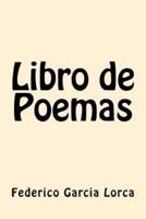 Libro De Poemas