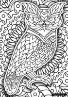 Wise Old Owl - A Color Your Cover Journal