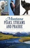 Montana Peaks, Streams and Prairie