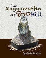 The Raggamuffin of Poo Hill