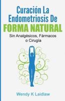 Curación La Endometriosis De Forma Natural