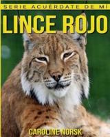 Lince Rojo