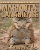 Marmota Canadiense