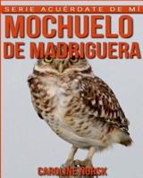 Mochuelo De Madriguera
