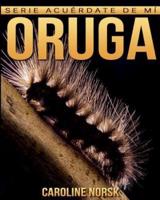 Oruga