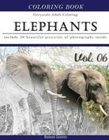 Elephants Wild Safari