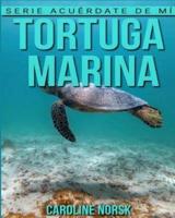 Tortuga Marina