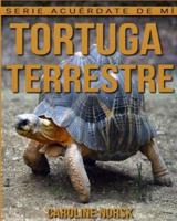 Tortuga Terrestre