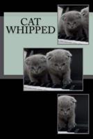 Cat Whipped