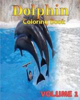 Dolphin Coloring Books Vol. 1 for Relaxation Meditation Blessing