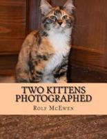 Two Kittens Photographed