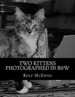 Two Kittens Photographed in B&W