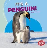 It's a Penguin!